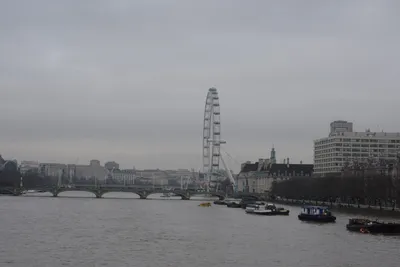 DSC_5930 (Large).JPG